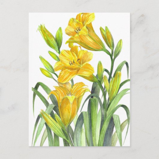Carte Postale Aquarelle Jaune Lys Floral Illustration (Devant)