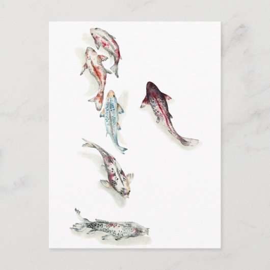 Carte Postale Aquarelle Koi Fish (Devant)