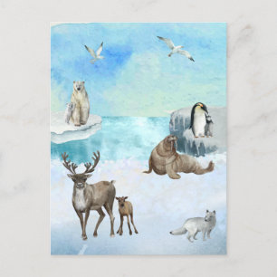 Carte Postale Aquarelle La scène des animaux de l'Arctique