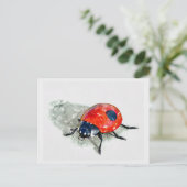 Carte Postale Aquarelle Lady Bug (Debout devant)