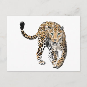 Carte Postale aquarelle léopard jungle chat animal peint vert