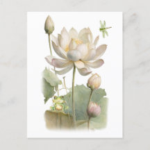 Aquarelle Lotus Flowers, Grenouille et libellule