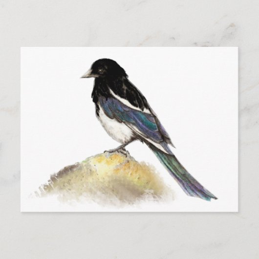 Carte Postale Aquarelle Magpie Jardin Oiseau Nature (Devant)