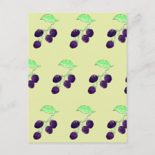 Carte Postale Aquarelle Mûre Violette Botanique