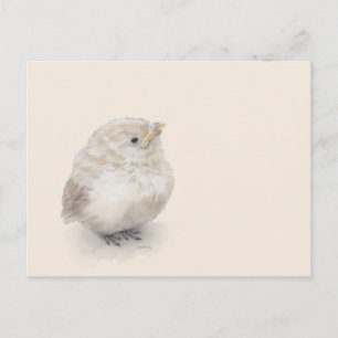 Carte Postale Aquarelle numérique Baby Sparrow