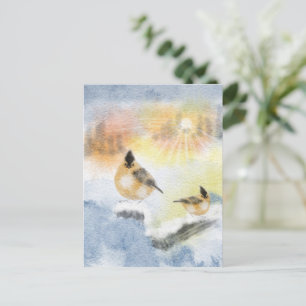 Carte postale Aquarelle Oiseaux   Beau Oiseau