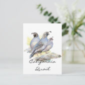 Carte Postale Aquarelle originale California Quail. Oiseau (Debout devant)