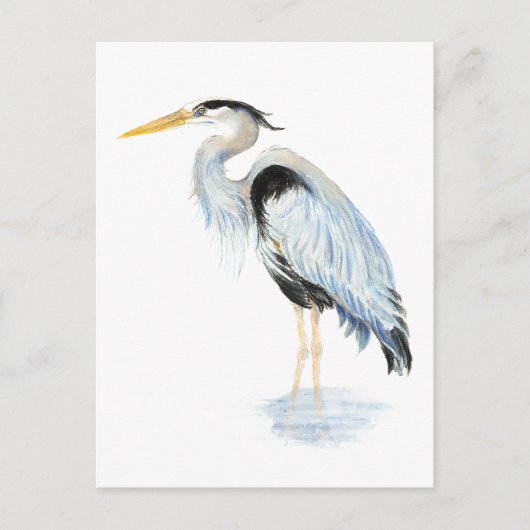 Carte Postale Aquarelle originale Great Blue Heron Bird (Devant)