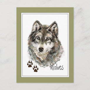 Carte Postale Aquarelle originale Loup gris - Traces animal