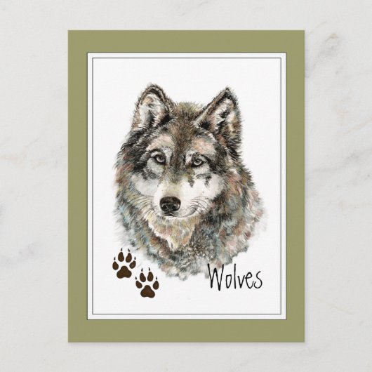 Carte Postale Aquarelle originale Loup gris - Traces animal (Devant)