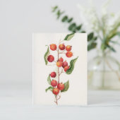 Carte Postale Aquarelle petite pomme branche (Debout devant)