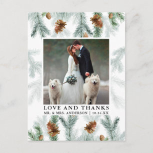 Carte Postale Aquarelle Pine Cônes Amour Merci Photo Mariage