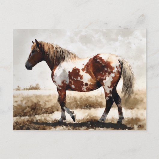 Carte Postale Aquarelle Pintaloosa (Devant)