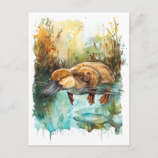 Carte Postale Aquarelle Platypus nager dans l'étang (Devant)