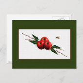 Carte Postale Aquarelle Pommes Rouges (Devant / Derrière)