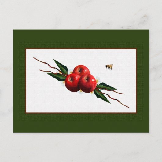 Carte Postale Aquarelle Pommes Rouges (Devant)