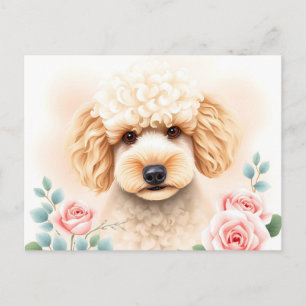 Carte Postale Aquarelle Portrait d'un caniche beige souple