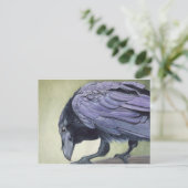 Carte postale Aquarelle Raven (Debout devant)