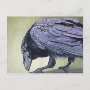 Carte postale Aquarelle Raven
