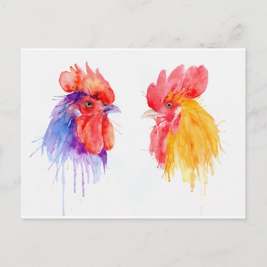 Carte Postale aquarelle Rooster Portrait deux costers (Devant)
