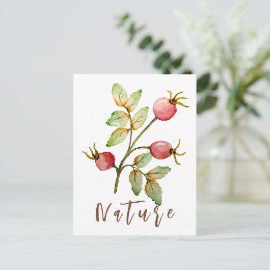 Carte Postale Aquarelle rose hanches (Debout devant)