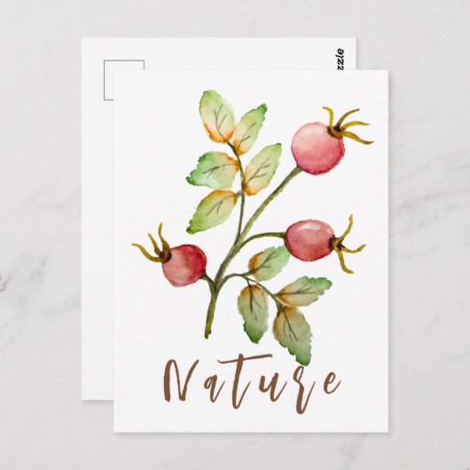 Carte Postale Aquarelle rose hanches (Devant / Derrière)