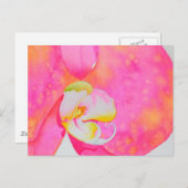 Carte Postale Aquarelle rose orangée tropicale (Devant / Derrière)