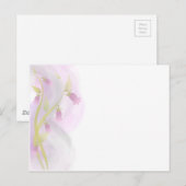 Carte Postale Aquarelle rose pâle (Devant / Derrière)