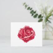 Carte Postale Aquarelle Rose Rose (Debout devant)