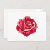 Carte Postale Aquarelle Rose Rose (Devant / Derrière)
