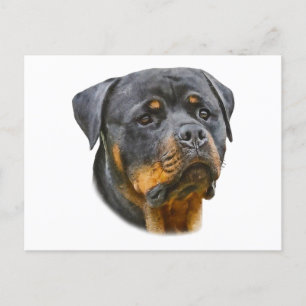 Carte Postale Aquarelle Rottweiler