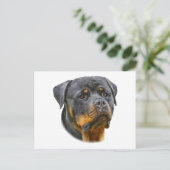 Carte Postale Aquarelle Rottweiler (Debout devant)