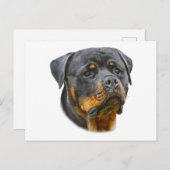 Carte Postale Aquarelle Rottweiler (Devant / Derrière)