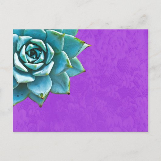 Carte Postale Aquarelle Succulente dentelle pourpre (Devant)