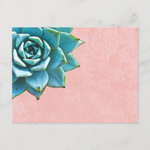 Carte Postale Aquarelle Succulente Dentelle rose