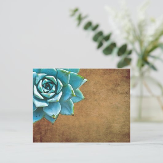 Carte Postale Aquarelle Succulente Rustique Brown (Debout devant)