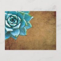 Aquarelle Succulente Rustique Brown