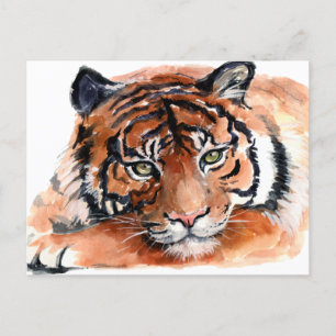 Carte Postale Aquarelle Tiger Cub