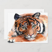 Carte Postale Aquarelle Tiger Cub (Devant / Derrière)
