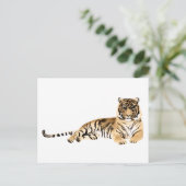 Carte Postale Aquarelle Tiger Repose (Debout devant)