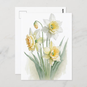 Carte Postale Aquarelle vintage Daffodiques blanc et jaune