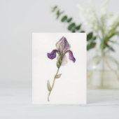 Carte Postale Aquarelle violet Iris (Debout devant)