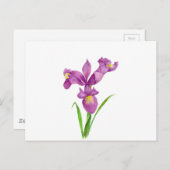Carte Postale Aquarelle violet Iris Botanique Floral Art (Devant / Derrière)