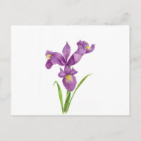 Aquarelle violet Iris Botanique Floral Art