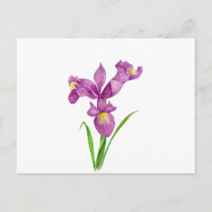 Carte Postale Aquarelle violet Iris Botanique Floral Art