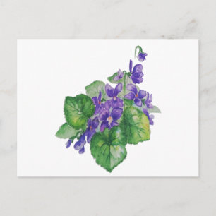 Carte Postale Aquarelle Violet Violet Fleur Floral Art