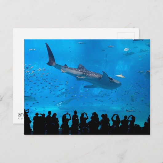 Carte Postale Aquarium (Devant / Derrière)