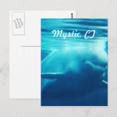 Carte Postale Aquarium (Devant / Derrière)