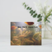 Carte postale Aquarium (Debout devant)