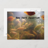 Carte postale Aquarium (Devant / Derrière)